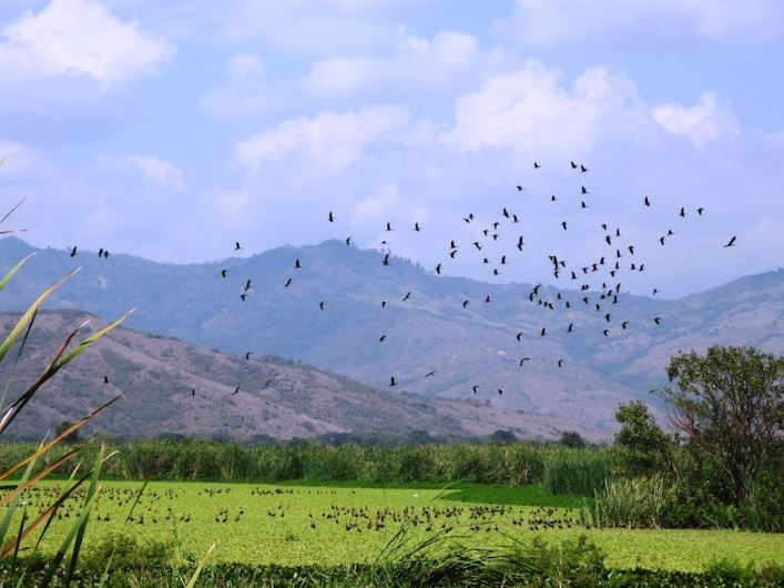 Ciénaga el Conchal